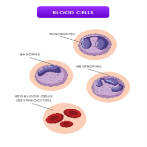 Blood Cells thumb